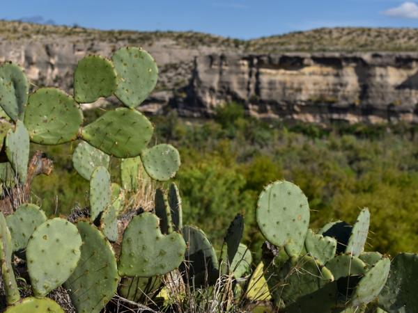 Rio Grande near Langtry © Emily Breckman Bruns riogrande-nearlangtrytx-emilybeckmanbruns2022_-_6.jpg