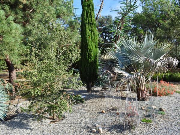 06/10/12. Arboretum de la Bergerette. Photo: C. Snyers d'Attenhoven.