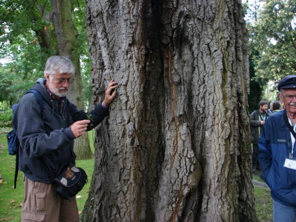 27/09/12. Arboretum Allard. Quercus afares Pomel with (left) G. Sternberg (Starhill Forest Arboretum) and A. Taylor. Photo: L. Kenyon.