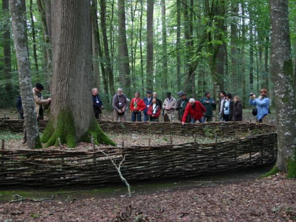 27/09/12. Forêt de Bercé. Photo: L. Kenyon.
