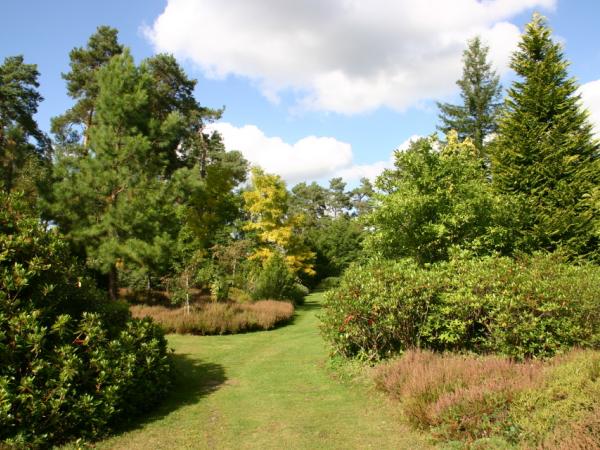 28/09/12. Arboretum des Grandes Bruyères. Photo: L. Kenyon.