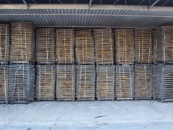 01/10/12. Field Trip, Tonnellerie Nadalié. The staves, waiting to become casks. Photo: J. MacEwen.