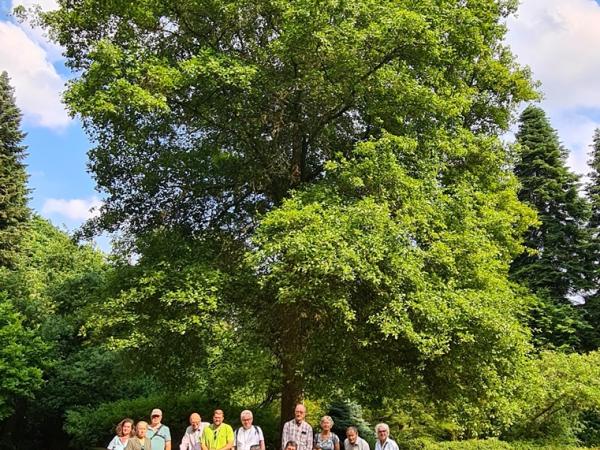 Group photo with champion Quercus arkansana in Bokrijk Arboretum