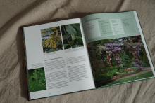 Pages from Gert's book