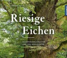 Riesige Eichen