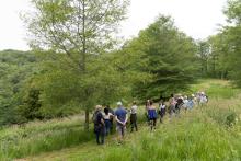 Participants at the Oak Study Day in Arboretum des Pouyouleix