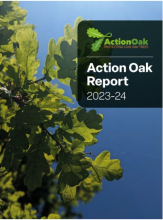 Action Oak Report 2023-24