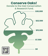 Oak Leaf Fund Raising Thermometer