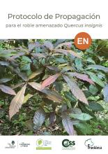 Cover of the Protocolo