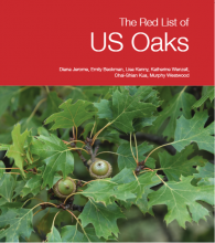 US Red List Oaks