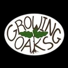 Growing Oaks logo