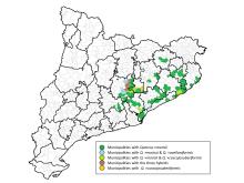 Map of the comarcas of Catalonia indicating the presence of Quercus suber hybrids