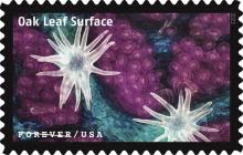 Oak featured on a new US stamp